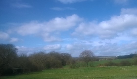 2 View from back of house