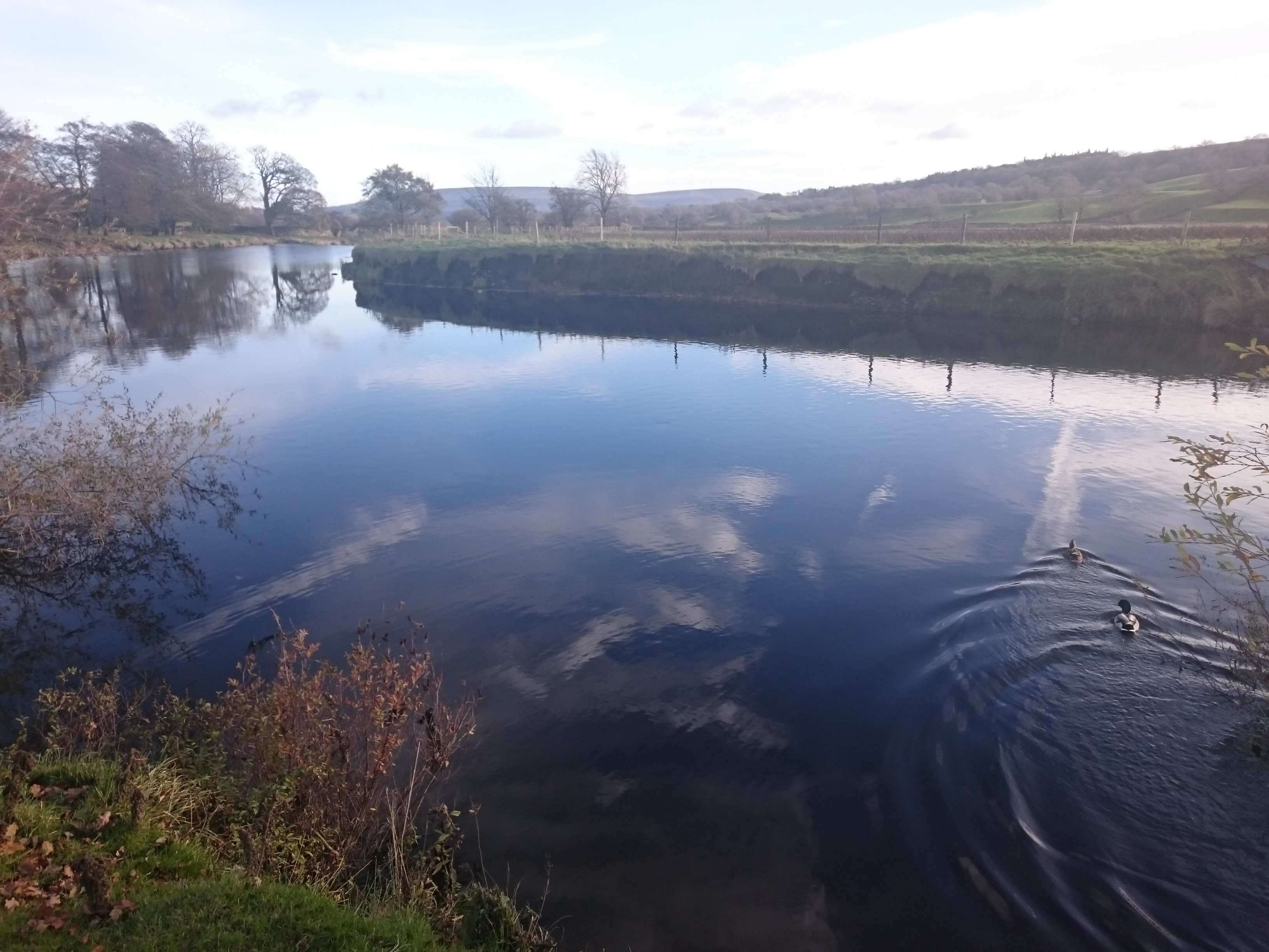 Reflections in the river