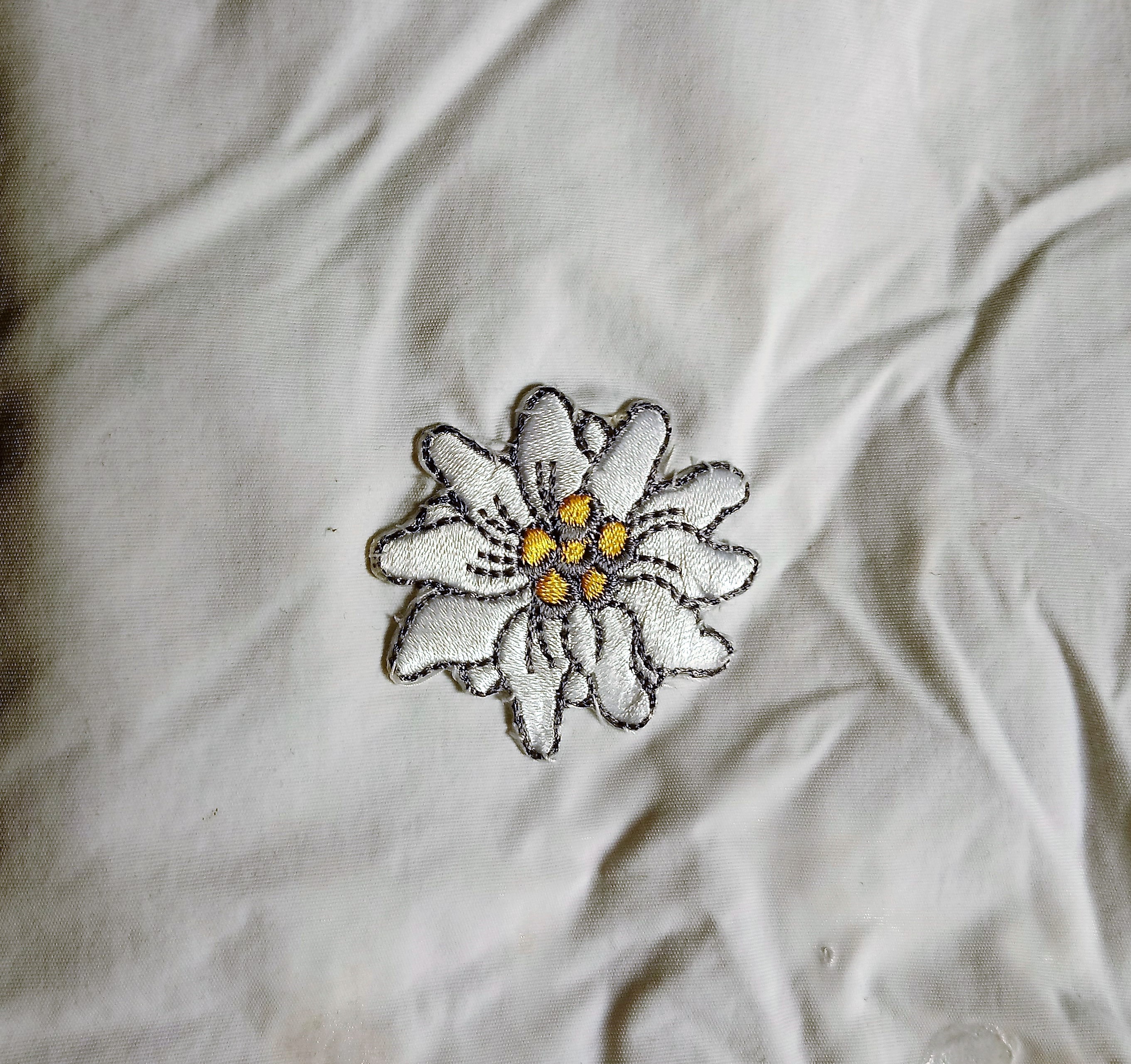 edelweiss (2).jpg