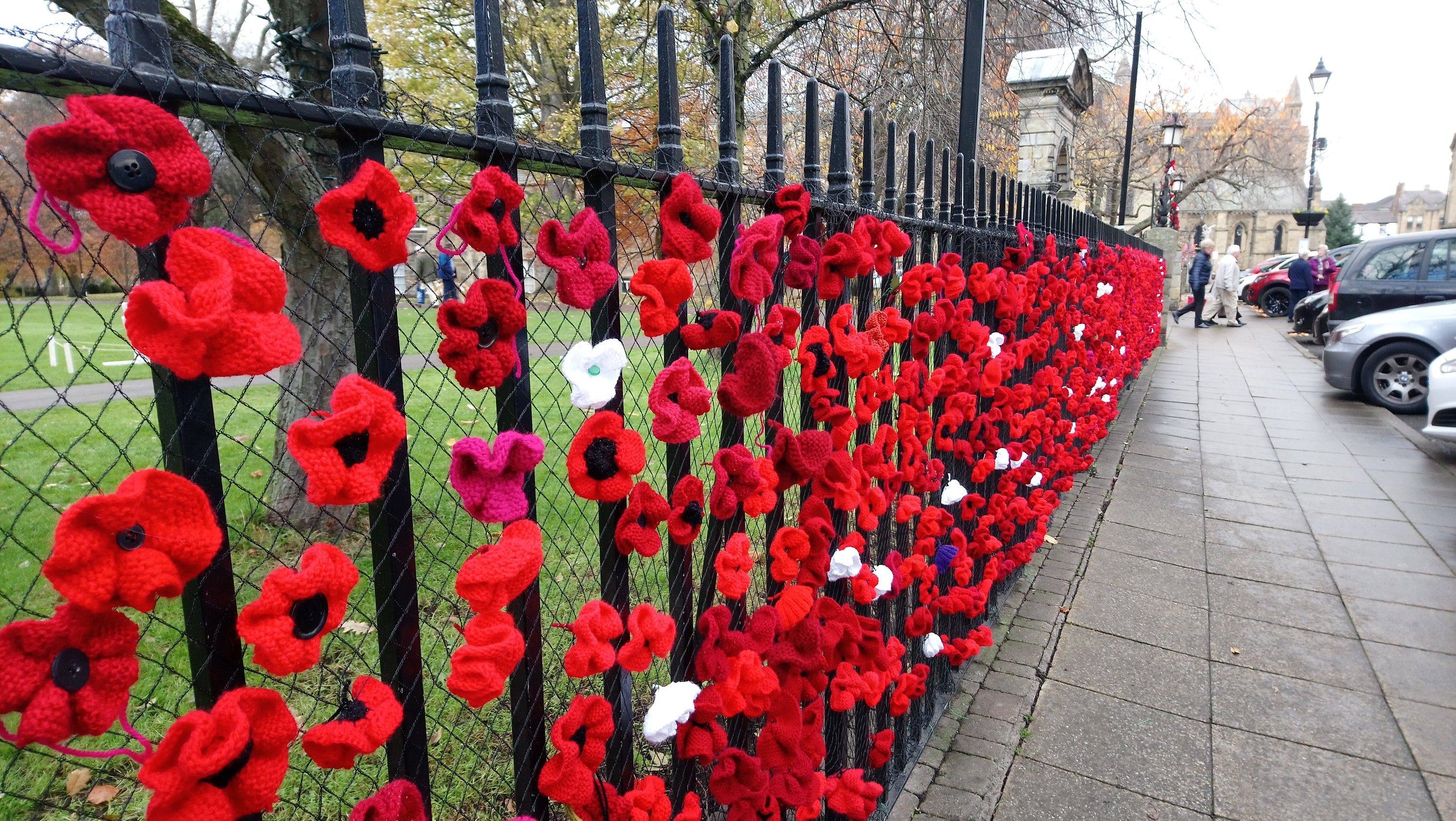 Poppies in Hexham, Northumberland