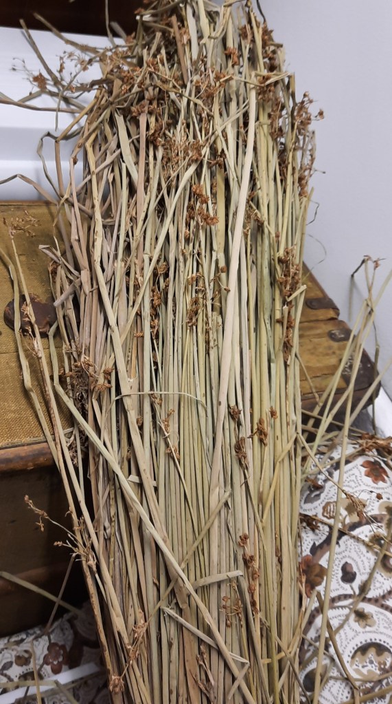 Rushes in the studio of Cane + Rush