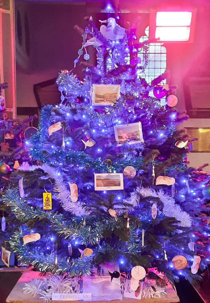Shrimps and Fish on the Pegwell Bay Society tree at the Christmas Tree Festival at St George's Ramsgate