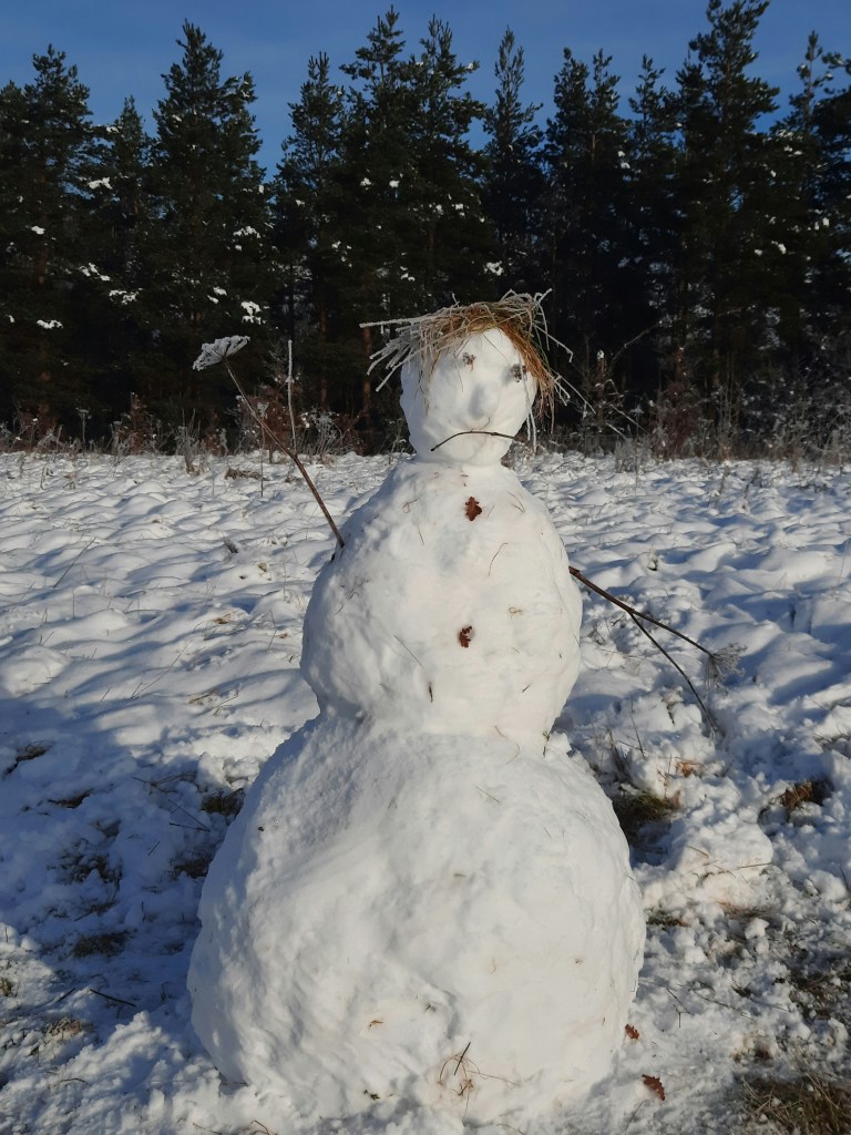 snowman with cow parsley arms