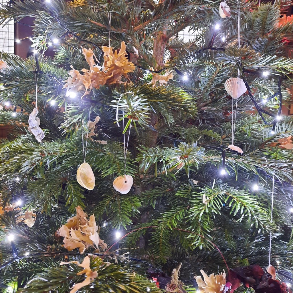Shells and Seaweed on the tree decorated by Ramsgate Central Harbour Councillors: Raushan Ara, Tricia Austin and Becky Wing at the St Laurence-in-Thanet Changeringers tree at the Christmas Tree Festival at St George's Ramsgate