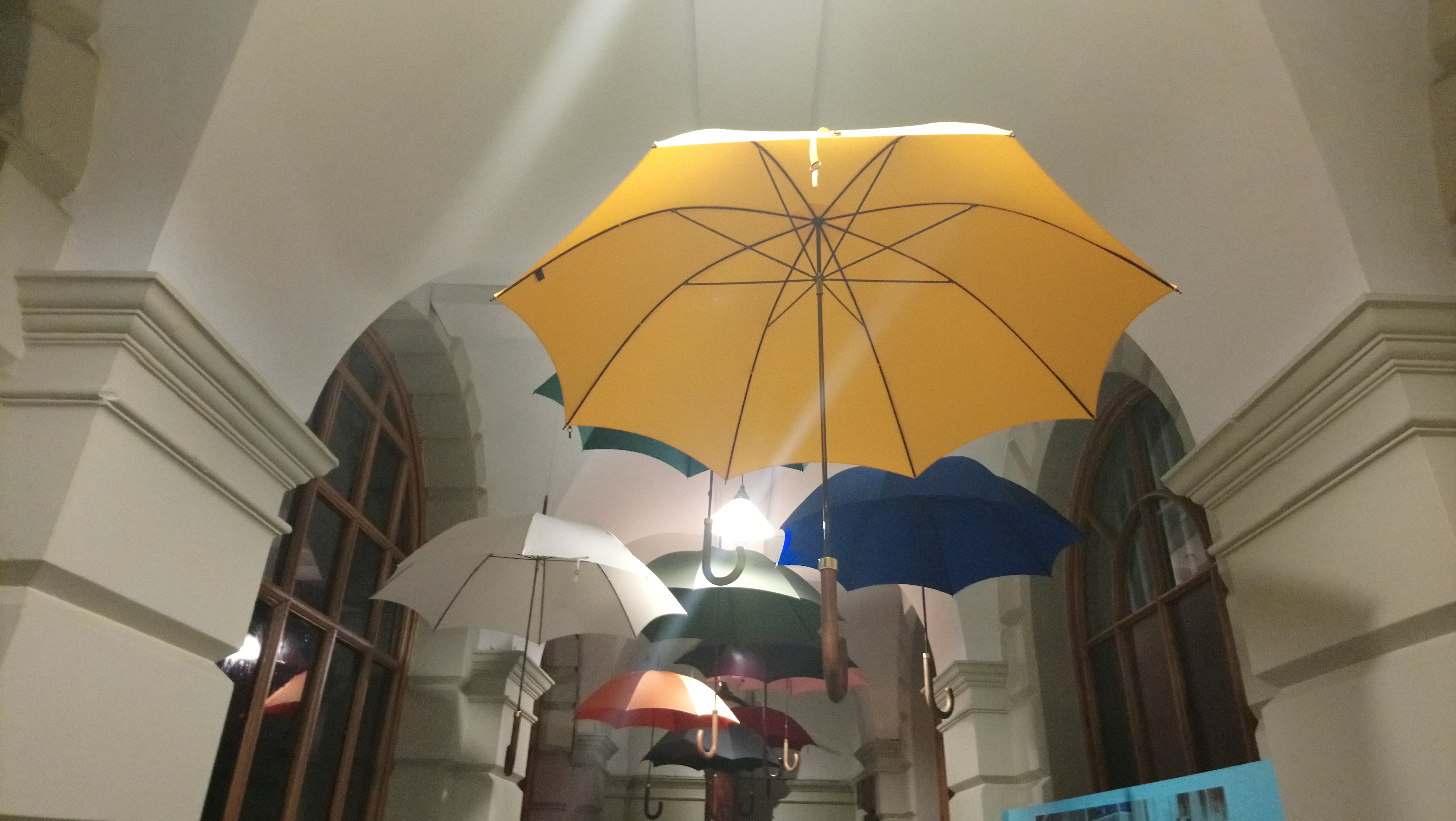 Display of umbrellas by Fox umbrellas