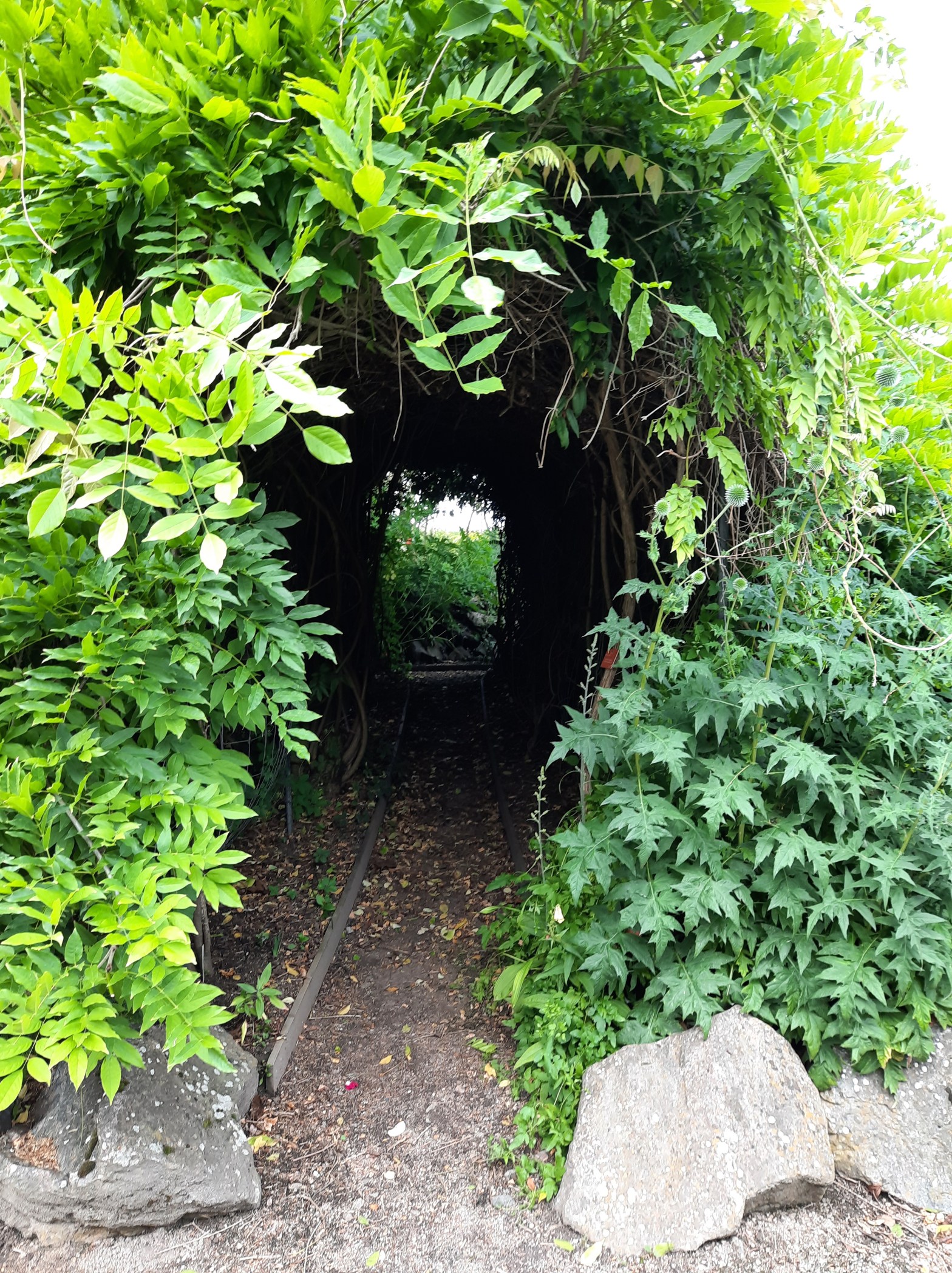 Tunnel in the World Garden at Lullingstone Castle