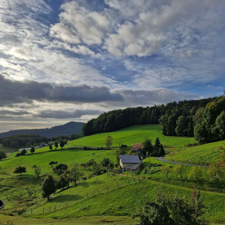 Landscape in Alsace