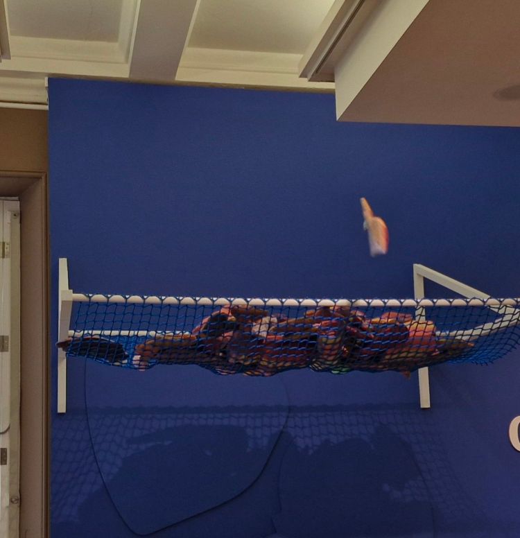 Net to catch the shapes by Jackie Haynes, inspired by the Mary Cleg collection, in the 'Things of the Least' exhibition at Manchester Art Gallery