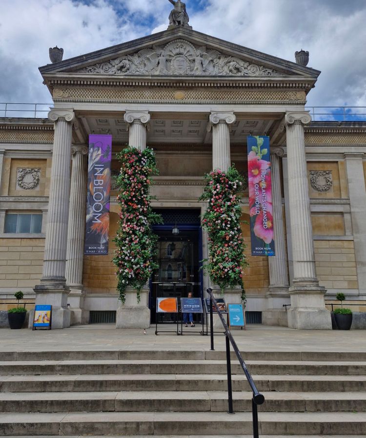 The Ashmolean Museum, Oxford, photo by Amanda Jane Ogden